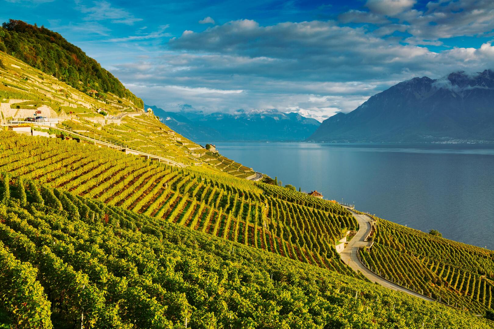 Montreux on Lake Geneva with Vineyards