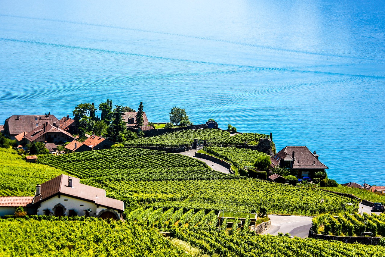 Montreux lakefront and Lavaux vineyards